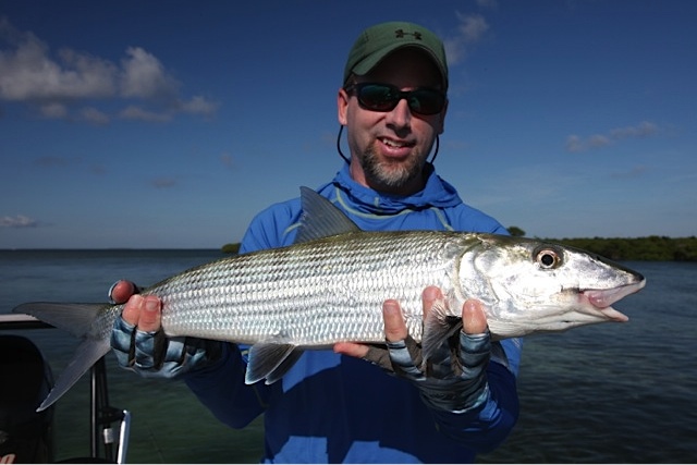 Miami tarpon fishing and Fort Lauderdale inshore fishing catching shark ...